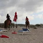 Sardinia Seabreeze Iun R2178 *