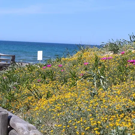 Sardinia Seabreeze Iun R2178 빌라 *
