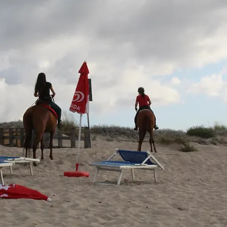Sardinia Seabreeze Iun R2178 *